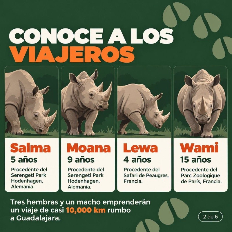 ZOOLÓGICO GUADALAJARA