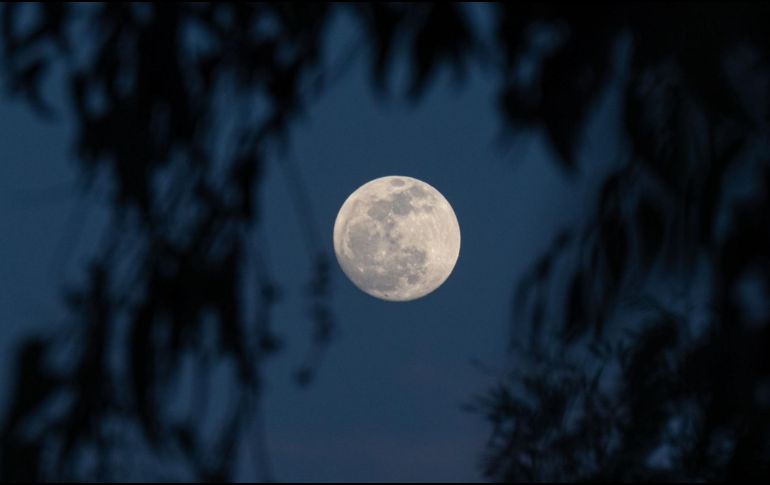 Te diremos cuándo y a qué hora ver la Luna del Cazador desde tu ciudad en México; en esta ocasión, no necesitarás de ningún equipo especializado para gozar del evento. PEXELS / G. Orozco Lucio