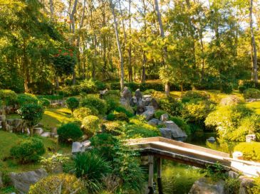 El Bosque los Colomos ofrece un respiro a quienes desean alejarse de la ciudad durante algunas horas. ESPECIAL