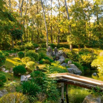El Bosque los Colomos ofrece un respiro a quienes desean alejarse de la ciudad durante algunas horas. ESPECIAL