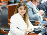 La diputada Gabriela Cárdenas urgió a la Comisión de Presupuesto a amparar los proyectos hídricos. ESPECIAL