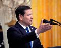 Rubio aseguró que se ha propiciado la liberación de "cientos" de presos políticos, así como el regreso del exilio de figuras de la oposición a Venezuela. EFE / ARCHIVO