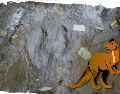 En este caso, las huellas podrían convertirse en una especie de mapa del movimiento de los dinosaurios que recorrieron aquella antigua región. CINAH Michoacán / ESPECIAL