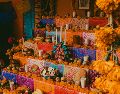 Ante la visita de tu amada mascota es vital que su altar contenga los elementos que más disfrutaba durante su vida terrenal. Unsplash