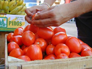 Para Ebrard, la medida no benefició a los productores de Florida pero sí permitió que otros países ganaran terreno en el mercado estadounidense. SUN/ARCHIVO