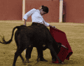 Cabas quiere seguir creciendo y aprovechar cada oportunidad para consolidarse en la tauromaquia. INSTAGRAM / @miriamcabas