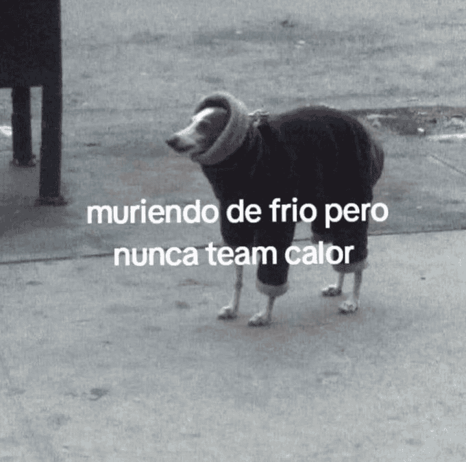 &nbsp;ESPECIAL / INTERNET&nbsp;