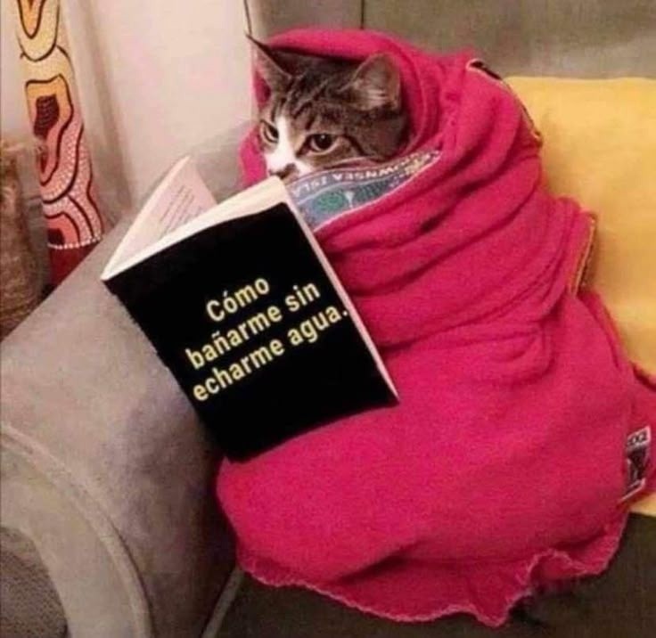 ESPECIAL / INTERNET&nbsp;&nbsp;