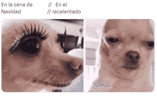 ESPECIAL / INTERNET&nbsp;&nbsp;