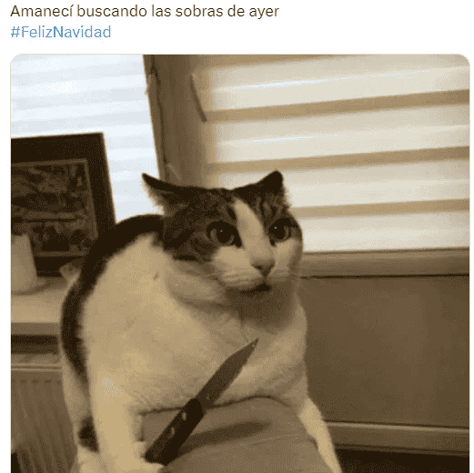 ESPECIAL / INTERNET&nbsp;