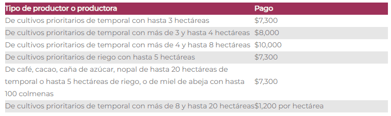 &nbsp;Montos del pago de Producción para el Bienestar. ESPECIAL