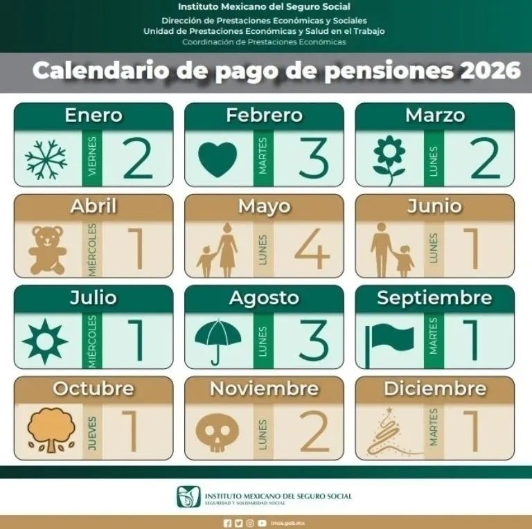IMSS&nbsp;