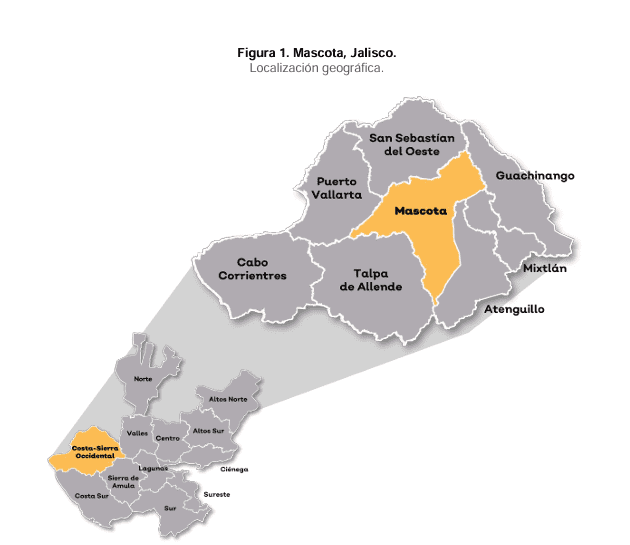 ESPECIAL / Instituto de Información Estadística y Geográfica de Jalisco (IIEG) &nbsp;