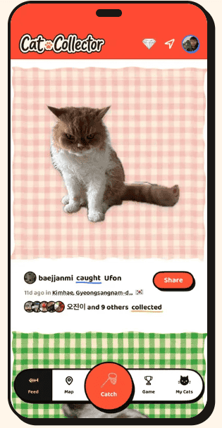 &nbsp;Cat Collector. app
